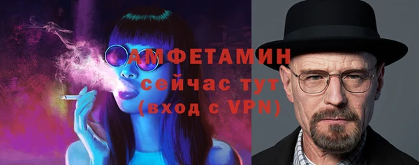 хмурый Алзамай
