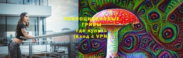 хмурый Алзамай