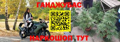 индика Усть-Джегута