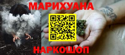 индика Усть-Джегута