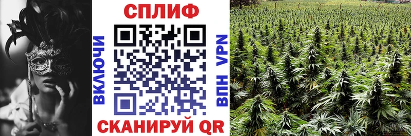 как найти   Обнинск  Канабис VHQ 